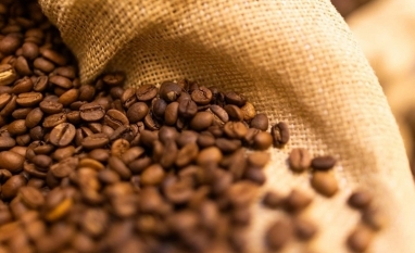 Safra de café será maior no Brasil, mas clima deve afetar qualidade