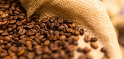 Safra de café será maior no Brasil, mas clima deve afetar qualidade