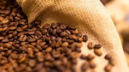 Safra de café será maior no Brasil, mas clima deve afetar qualidade