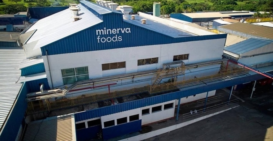 Minerva tem lucro líquido de R$ 196,9 milhões no 2º trimestre, queda de 57%