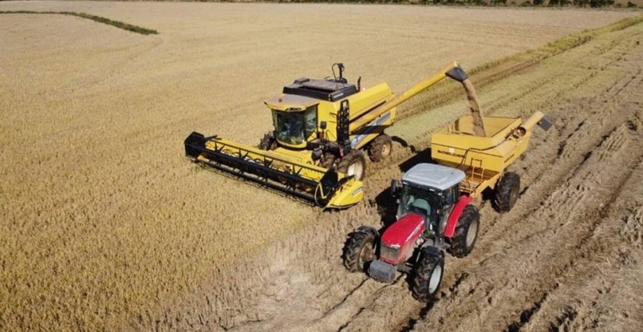Desembolso do crédito rural despenca no primeiro mês da safra