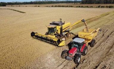 Desembolso do crédito rural despenca no primeiro mês da safra