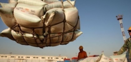 Margens de esmagamento de soja na China permanecem negativas