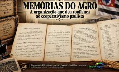 A organização que deu confiança ao cooperativismo paulista 