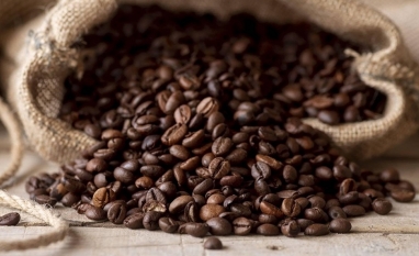 Exportações de café em agosto bateram recorde para o mês