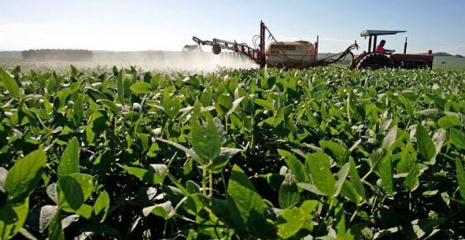 Indústria de insumos agrícolas vê recuperação lenta