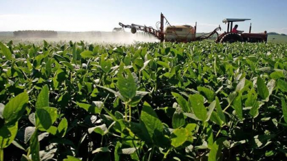 Indústria de insumos agrícolas vê recuperação lenta