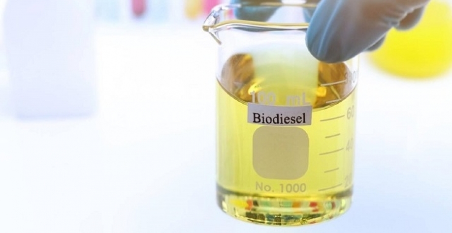 EUA reduzem obrigação de mistura de biocombustíveis de 2025 para 28 refinarias