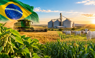 Eleições 2026: De qual política pública o agronegócio precisa?