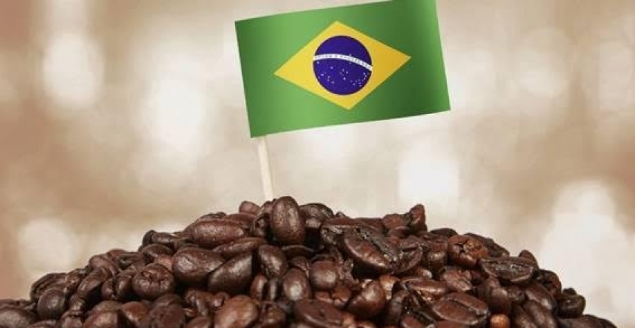 Café: O “Ótimo” é inimigo do “Bom”! – Por Marcelo Fraga Moreira