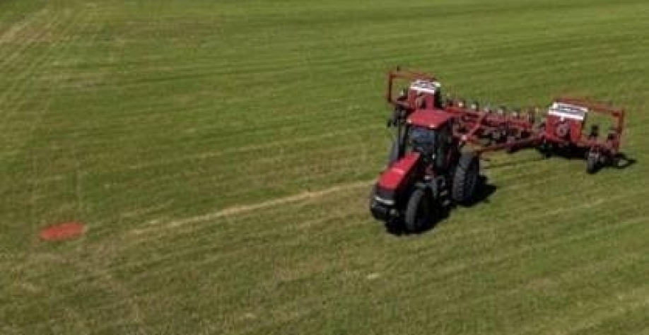 Onde está o agro? Veja as 10 cidades que lideram a produção no Brasil