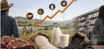 Do campo à gôndola: Por que o preço dos alimentos muda tanto