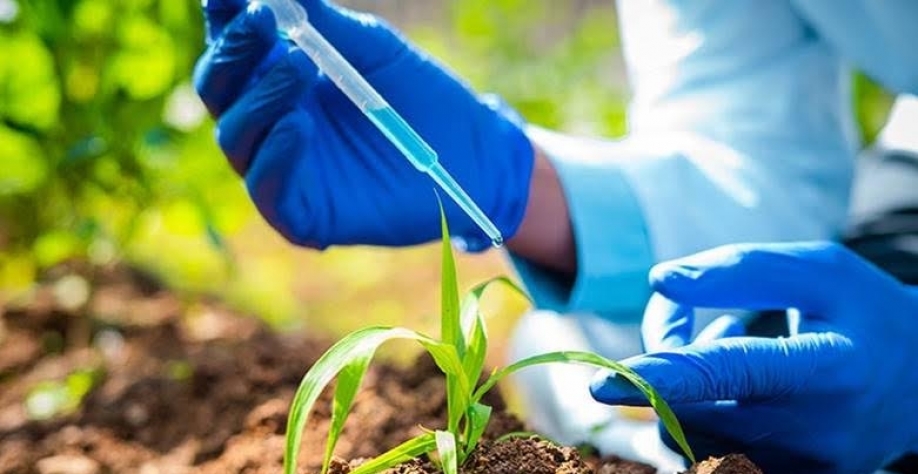 Governo prepara decreto para regulamentar lei de bioinsumos