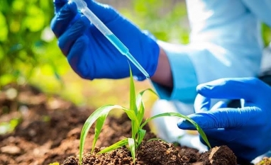 Governo prepara decreto para regulamentar lei de bioinsumos