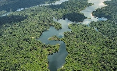 A floresta em pé não pode continuar valendo no discurso e pouco na economia