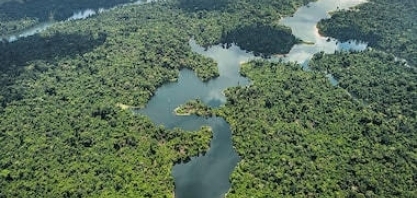 A floresta em pé não pode continuar valendo no discurso e pouco na economia