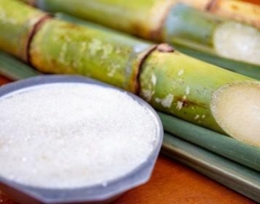 Preço futuro do açúcar avança em NY com ritmo lento da colheita no Brasil