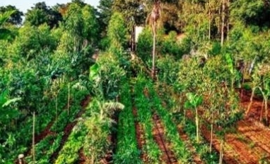 Transformação do agro no Brasil pode exigir até US$ 511 bilhões até 2050