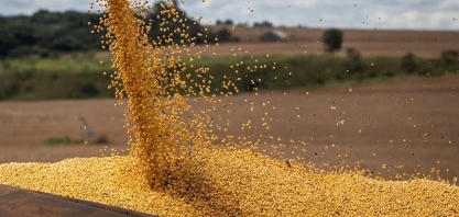 Preço da soja volta a subir com demanda aquecida pelo grão brasileiro