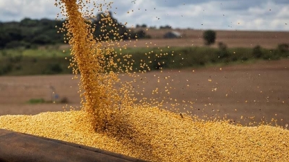 Preço da soja volta a subir com demanda aquecida pelo grão brasileiro