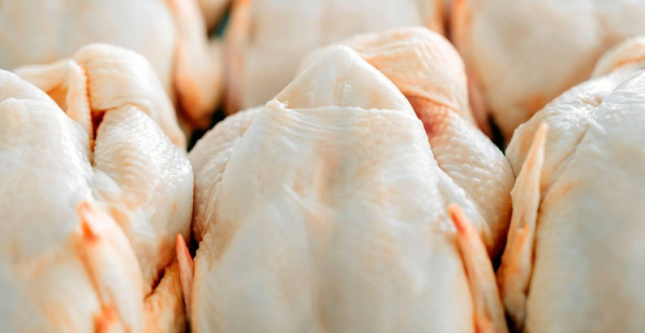 Exportações de carne de frango cresceram em volume e receita em agosto