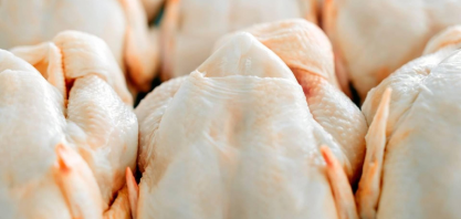 Exportações de carne de frango cresceram em volume e receita em agosto