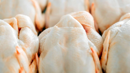Exportações de carne de frango cresceram em volume e receita em agosto