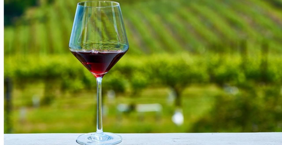Produção de vinhos deve cair pela metade na França por clima