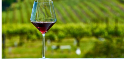 Produção de vinhos deve cair pela metade na França por clima