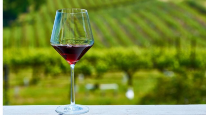 Produção de vinhos deve cair pela metade na França por clima
