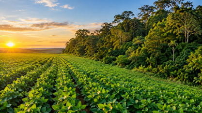 Fim da Moratória da Soja pode custar US$ 8,2 bilhões ao Brasil, estima WWF