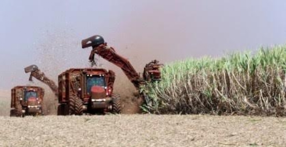 Biomassa de cana já responde por 15% da oferta de energia do Brasil