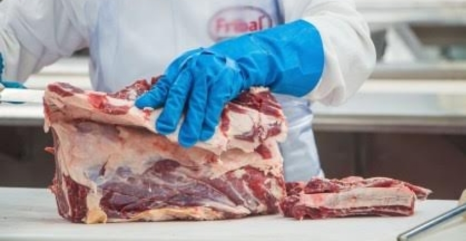 Quase 1 milhão de fêmeas a menos foram abatidas no acumulado do ano em comparação com 2025