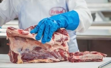 Quase 1 milhão de fêmeas a menos foram abatidas no acumulado do ano em comparação com 2025