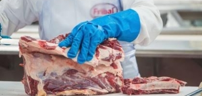 Quase 1 milhão de fêmeas a menos foram abatidas no acumulado do ano em comparação com 2025