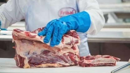Quase 1 milhão de fêmeas a menos foram abatidas no acumulado do ano em comparação com 2025