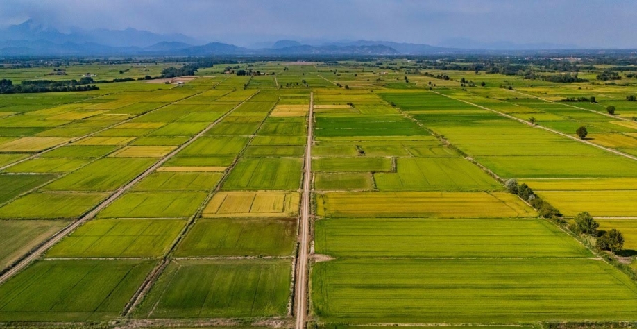 14 mil produtores se unem e pedem expansão da agricultura regenerativa