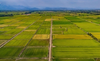 14 mil produtores se unem e pedem expansão da agricultura regenerativa