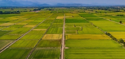 14 mil produtores se unem e pedem expansão da agricultura regenerativa