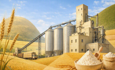 Agroindústria recua 2,9% em julho e mantém ritmo de desaceleração