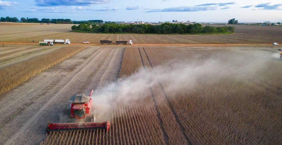 Valor de produção de culturas agrícolas do país subiu 18,4% em 2025