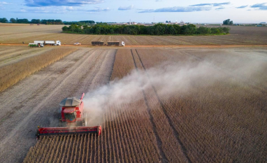Valor de produção de culturas agrícolas do país subiu 18,4% em 2025