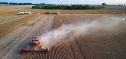 Valor de produção de culturas agrícolas do país subiu 18,4% em 2025