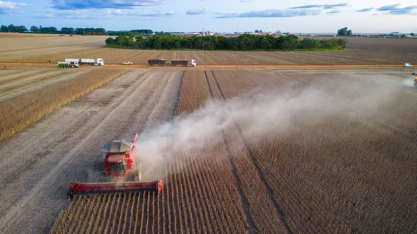 Valor de produção de culturas agrícolas do país subiu 18,4% em 2025
