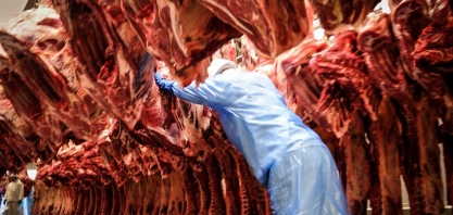 Exportações de carne bovina do Brasil caem 22% em agosto com forte recuo da China