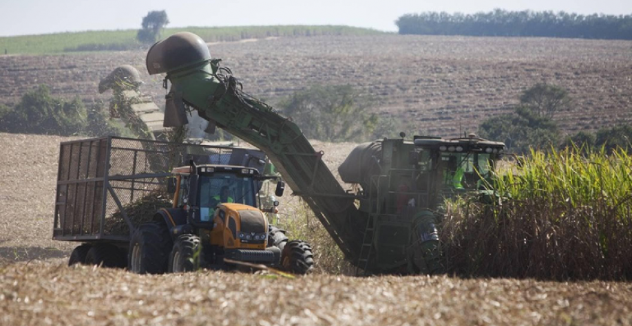 StoneX reduz estimativa de produção de açúcar no Brasil em 2026/27