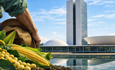 Análise: O agro sai das urnas maior e mais forte no Congresso 