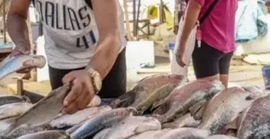 Reabertura do mercado europeu pode ampliar exportações de pescado em 20%