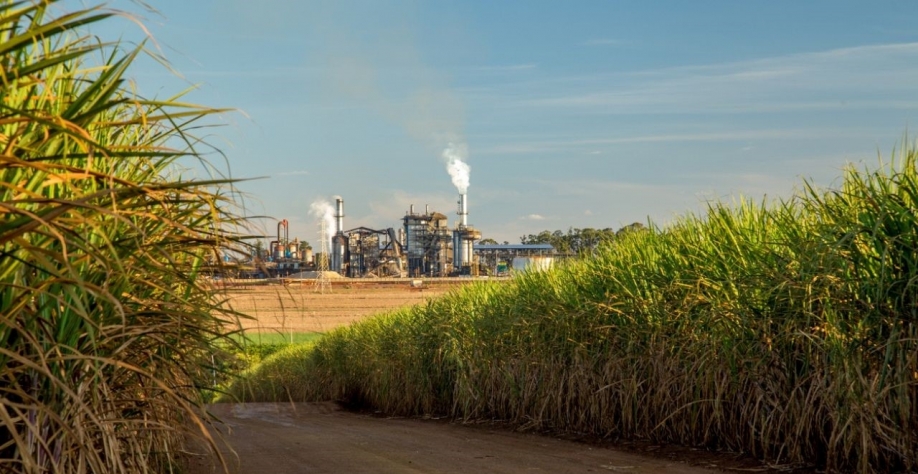 150 t/ha: Como o CTC quer dobrar a produtividade da cana até 2040