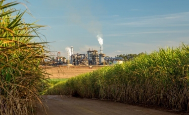 150 t/ha: Como o CTC quer dobrar a produtividade da cana até 2040